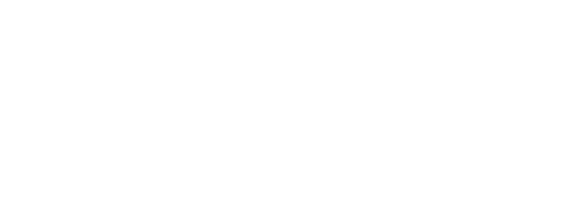 Brincr
